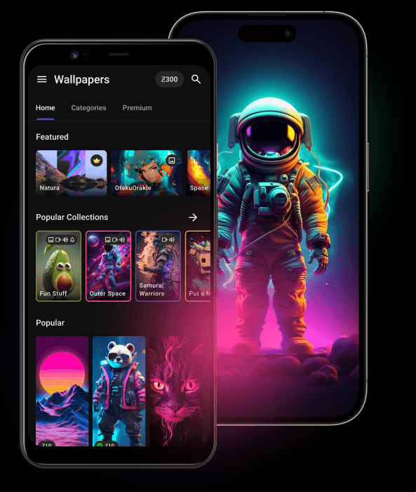 Application image
