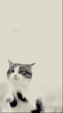 Live wallpaper example